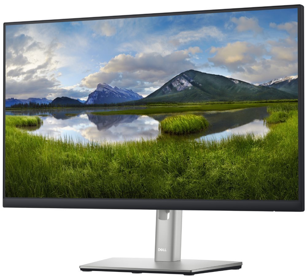 Dell monitor 24” WLED / FHD / / HDMI / DP VGA / USB / / black | P2422H, 210-AZYX | DELLSTORE