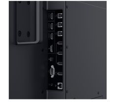 Dell monitor P5524QT / 54,6" / 4K / 8ms / 4000:1 / 3840x2160 / 3xHDMI / DP / USB / IPS panel / černý P5524QT 210-BJKD