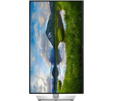 Dell Pro Plus monitor P2425DE / 24" / QHD / 2560x1440 / 8ms / 1500:1 / HDMI / 2xDP / 5xUSB / RJ45 / IPS / black and silver P2425DE 210-BRDM